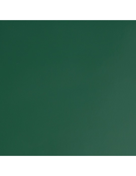 MG2357 - Vert Bouteille Brillant